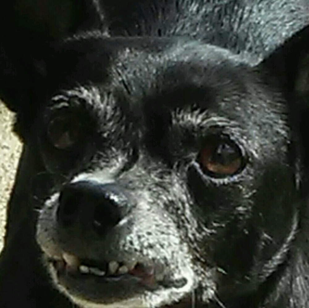 Meet your Posher, Brittney